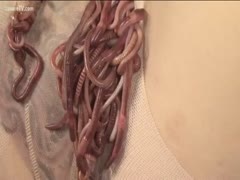 Extreme worm-induced masturbation